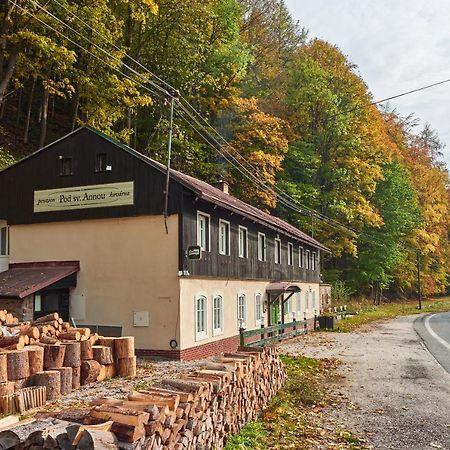 Pod Svatou Annou - Penzion A Rizkovna Horní Maršov Exterior foto
