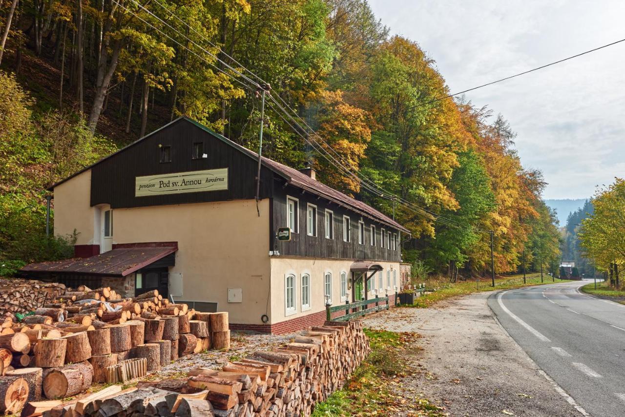 Pod Svatou Annou - Penzion A Rizkovna Horní Maršov Exterior foto